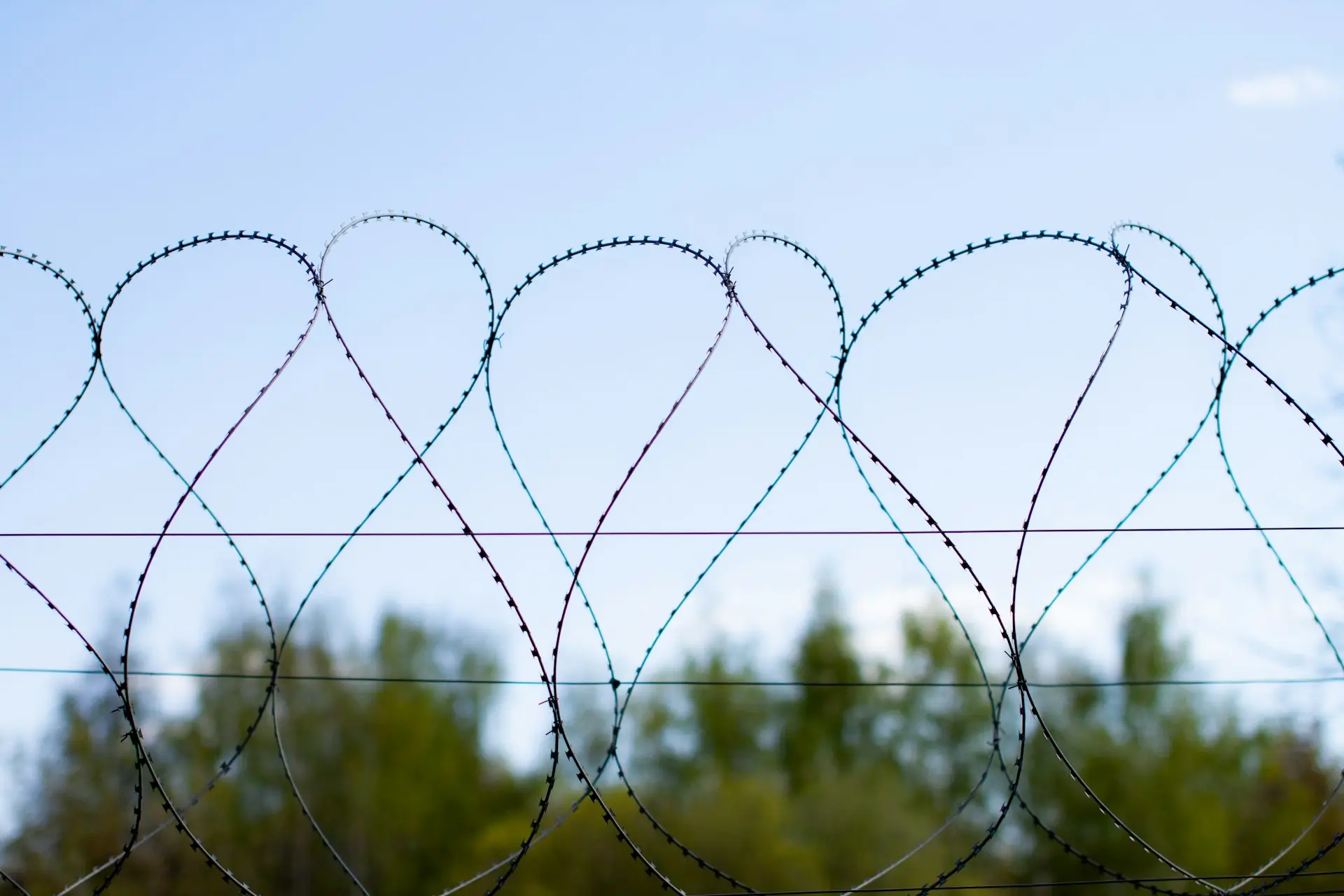 a barbed wire fence with trees in the background
