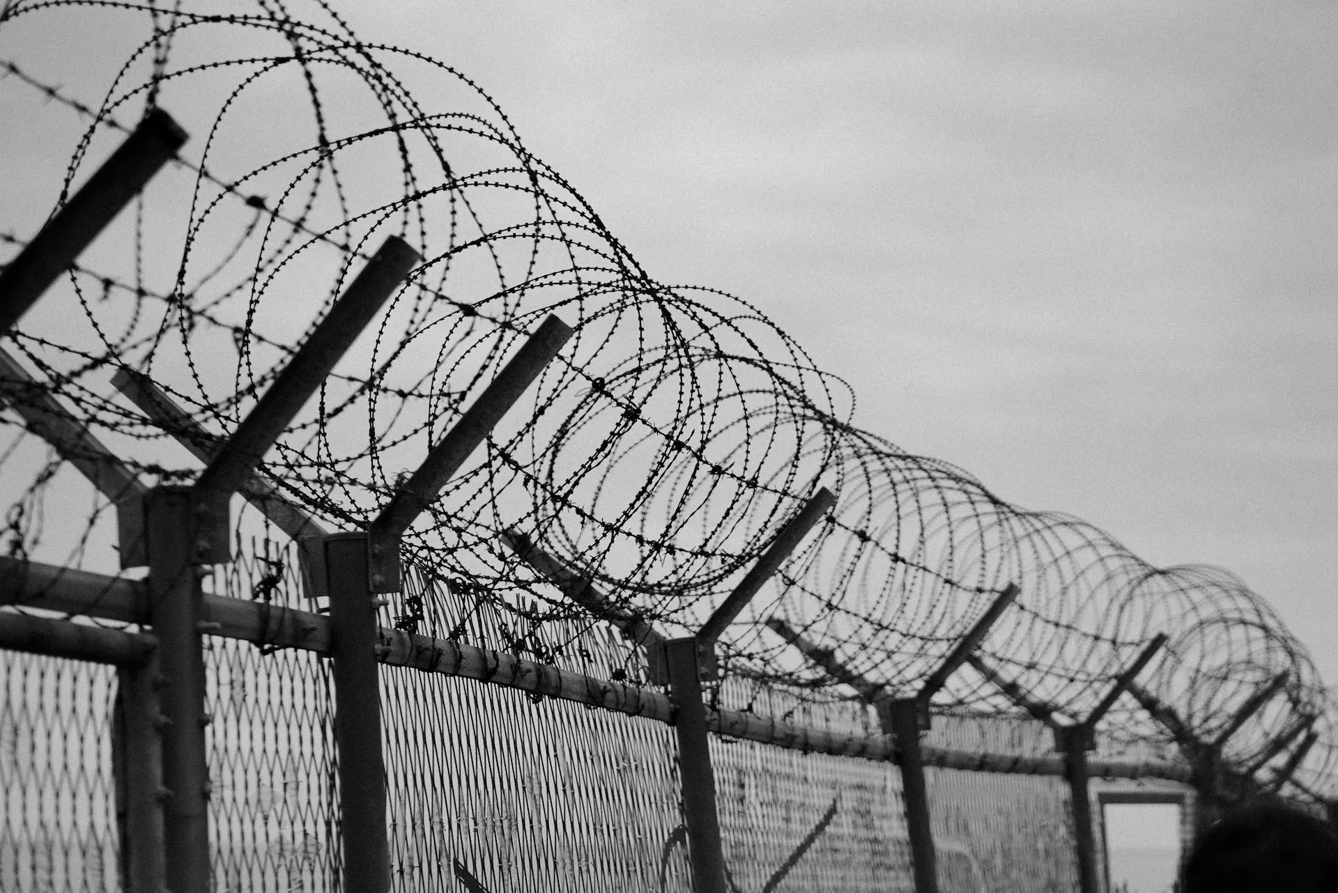 grayscale photo of metal fence