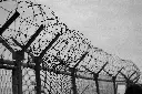 unsplash_s67PZz8Xt3c_barbed.webp