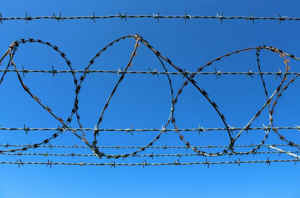 Barbed Wire Fencing  (12 X 12, 2.50MM X 2.50MM, 6-7M)